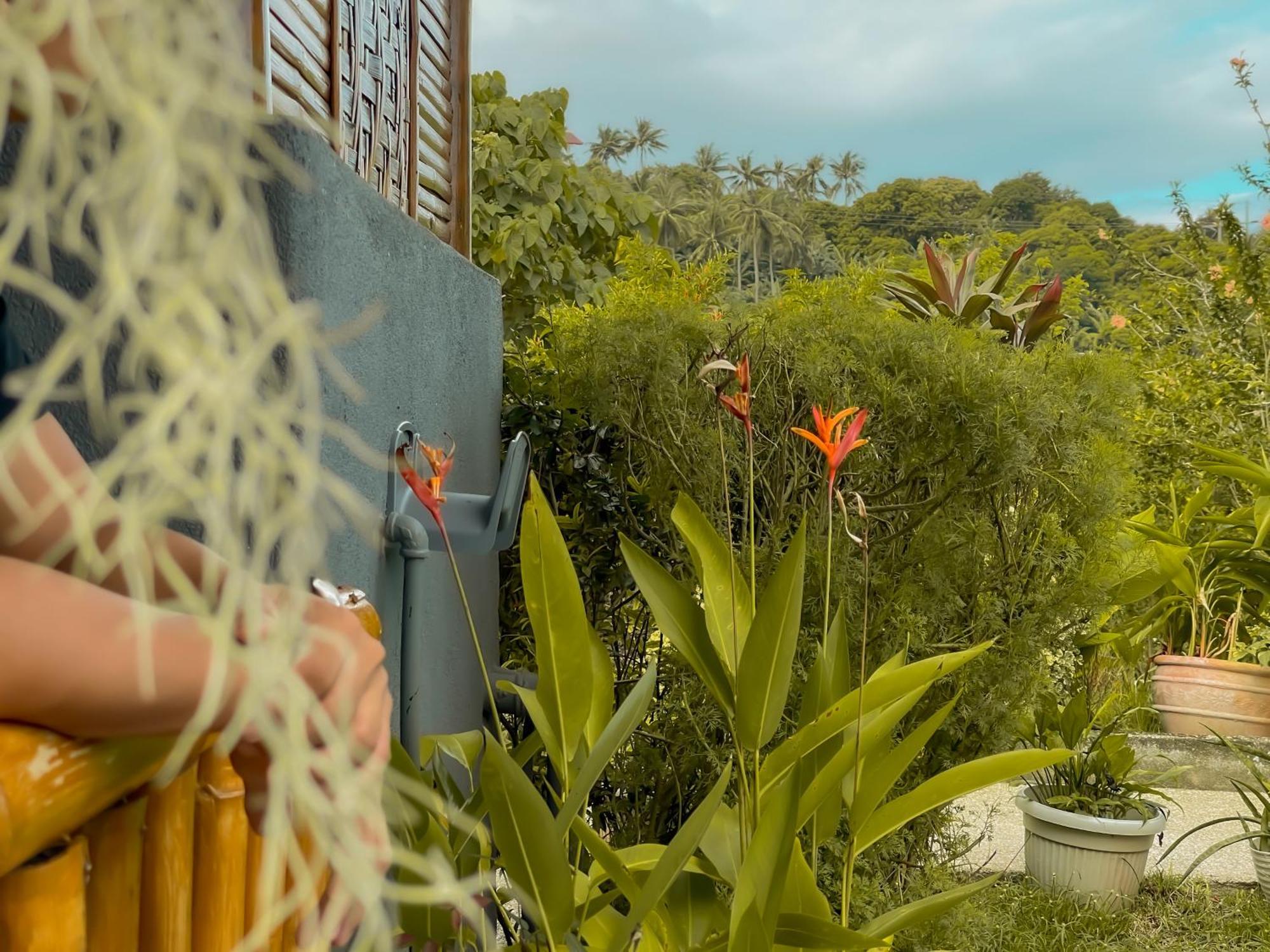 Galera Lodge Puerto Galera Ngoại thất bức ảnh